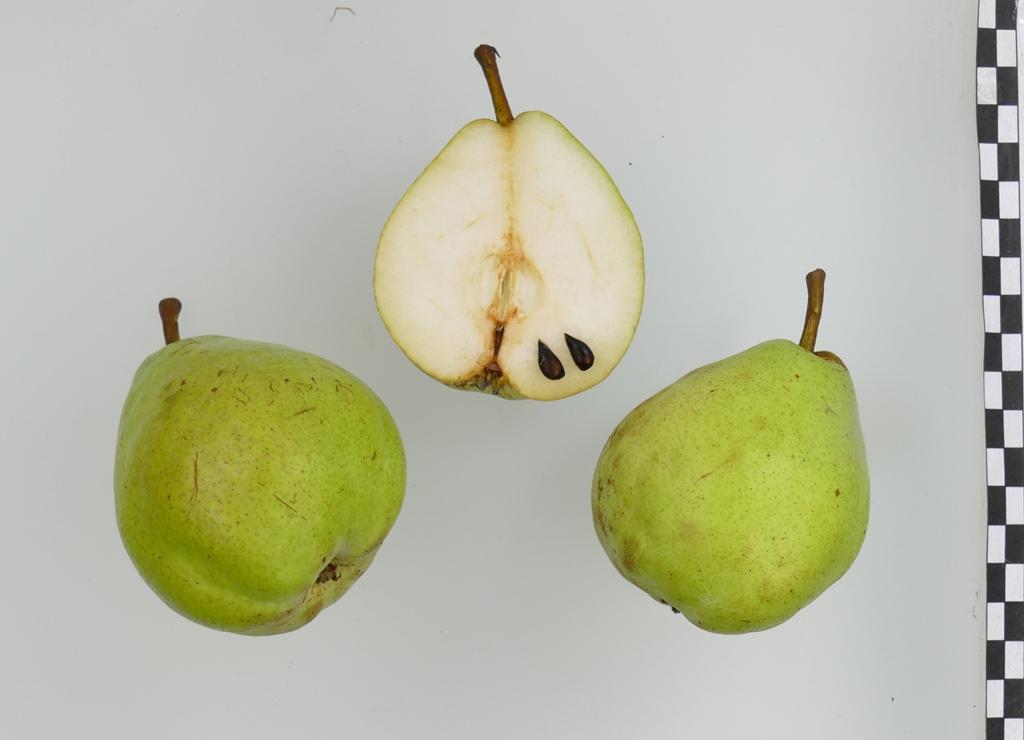 Premices de Maria Lesueur