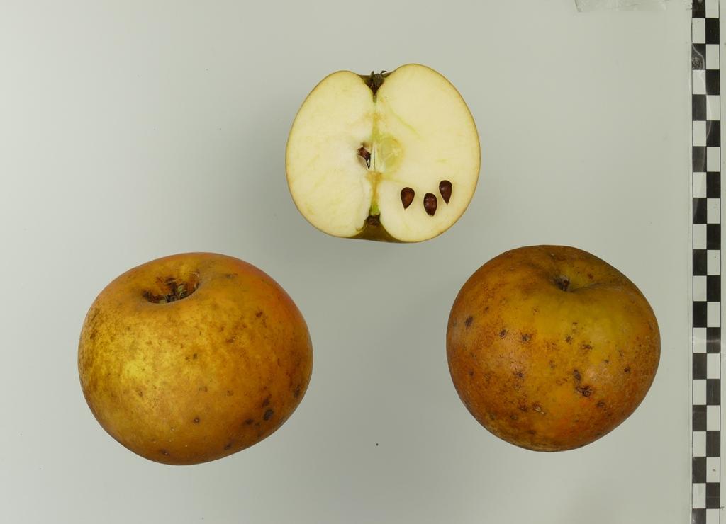 Egremont Russet