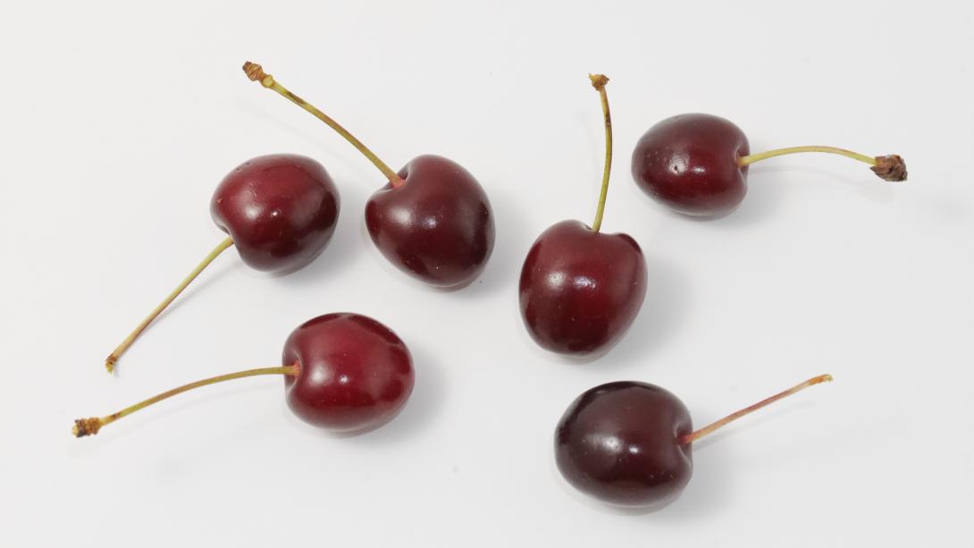 Frucht 'Coburger Maiherz'-Typ Sahlis-Kohren