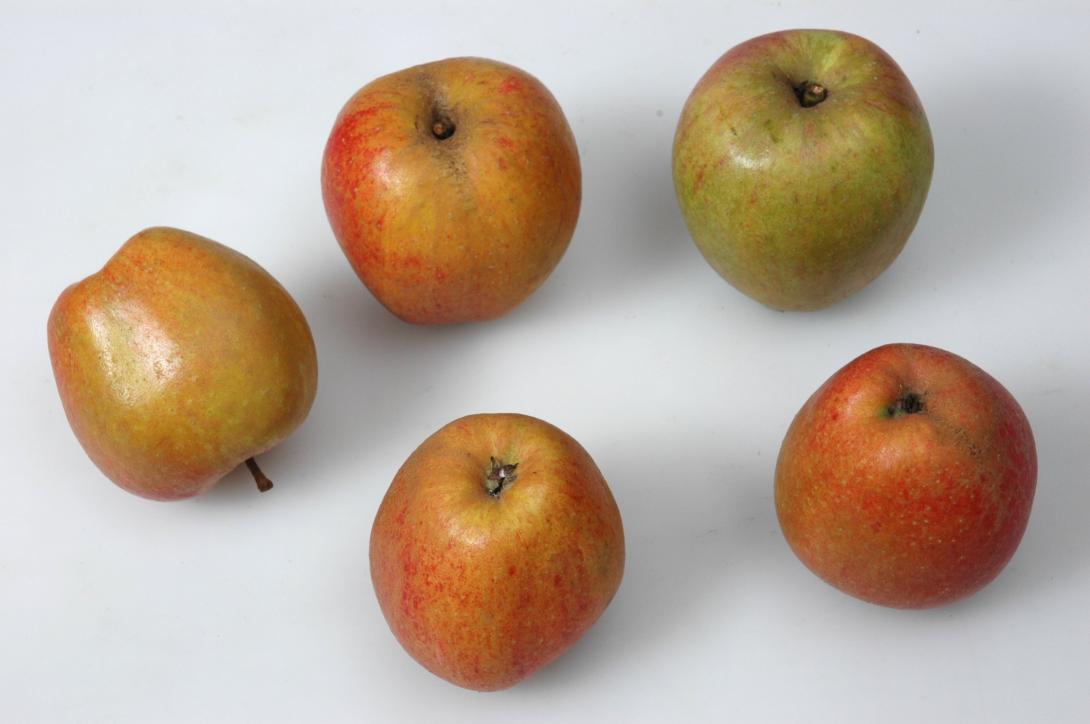 Paafenapfel