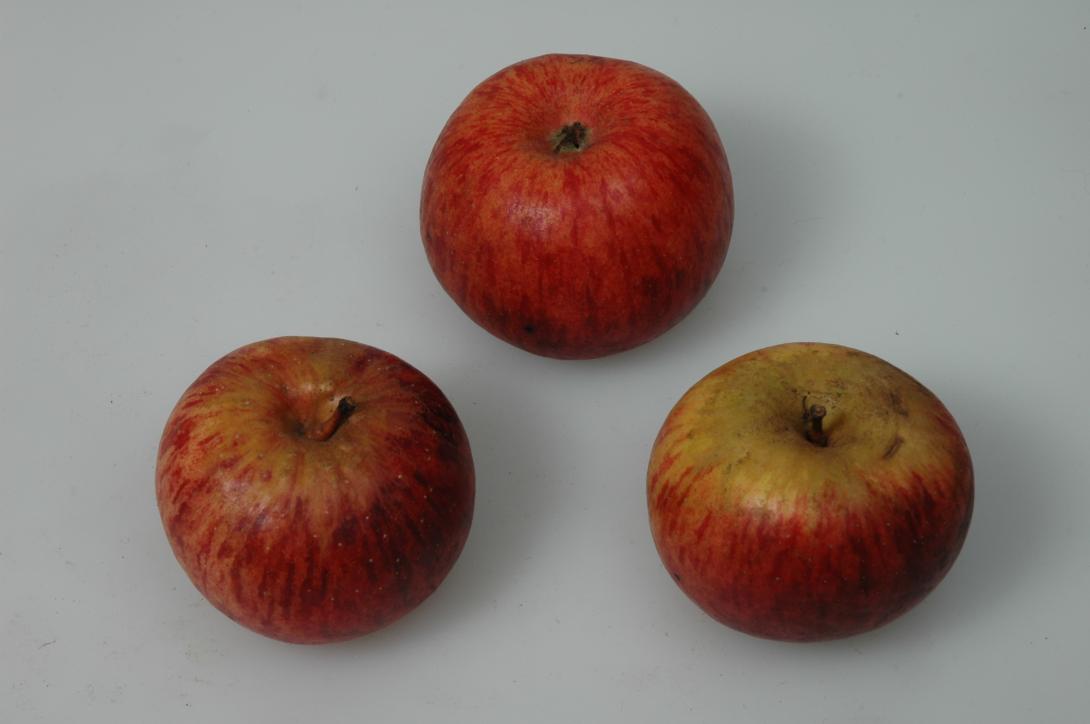 Porzenapfel 