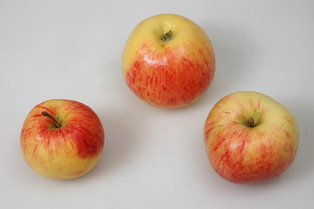 Schöner aus Burscheid