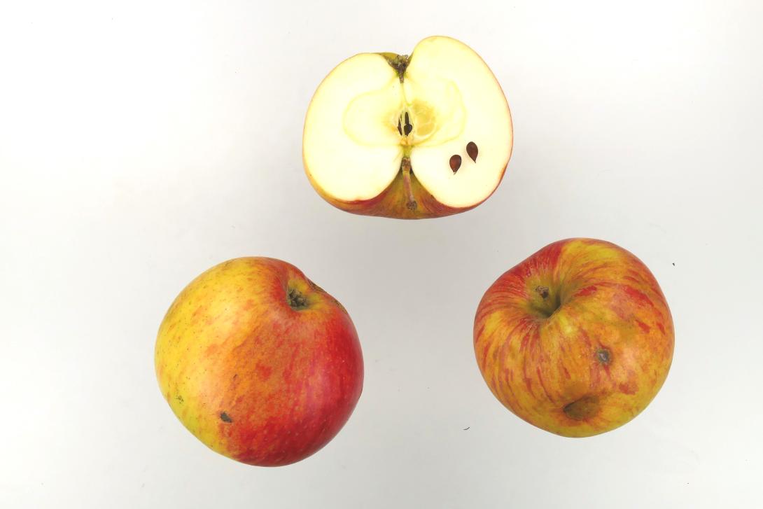 Hauxapfel